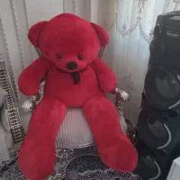 خرس بزرگ|اسباب‌‌بازی|اردبیل, |دیوار