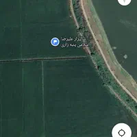 شالیزار  مرغوب کنار آبندان|فروش دفتر صنعتی، کشاورزی، تجاری|آکند, |دیوار