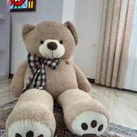 خرس بزرگ ۳متری