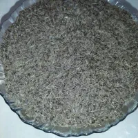 زیره سیاه کوهی
