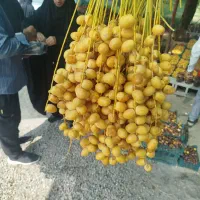 خرما|خوردنی و آشامیدنی|تهران, تهران پارس|دیوار