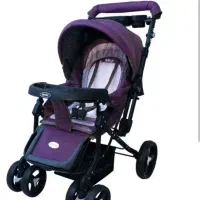 کالسکه دلیجان ست کامل