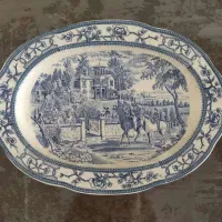 دیس آبی ژاپنی