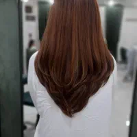 کوتاهی +آموزش تک مدل