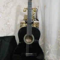 گیتار حرفه ای