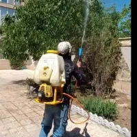 کلیه خدمات باغبانی در تهران و حومه|خدمات باغبانی و درختکاری|تهران, شهرک غرب|دیوار