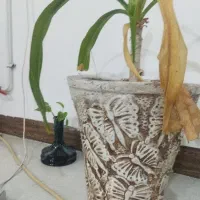 پراید هشتاد و هفت هیدرولیک