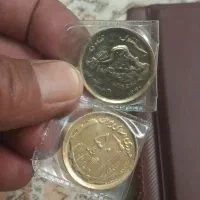 دوعدد سکه مسی 50ریالی با روکش طلا