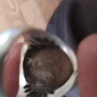 انگشتر شجر دریایی|جواهرات|تبریز, |دیوار