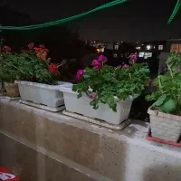 فروش آپارتمان ۷۲ متری ۲ خوابه در سراج(نیکوقدم)|فروش آپارتمان|تهران, استقلال|دیوار