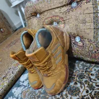 کتونی zx|کیف، کفش، کمربند|تهران, ارجمندی راد|دیوار