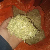 کاه لوبیامرغوب