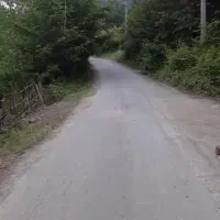 فروش زمین ۳۰۰متری روستای بهدان شهرک صنعتی|فروش زمین و ملک کلنگی|سنگر, |دیوار