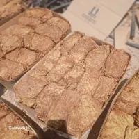 برگ زرد|خدمات باغبانی و درختکاری|کاکی, |دیوار