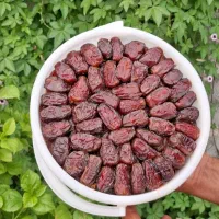 خرما درجه یک