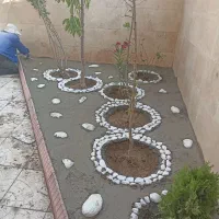 خدمات فضای سبز وباغبانی (کاشت چمن،سم پاشی،علف زنی)