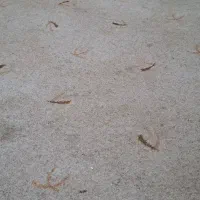 فروش وسایل منزل  خورموج