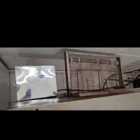 فر پیتزا|کافیشاپ و رستوران|بروجرد, |دیوار