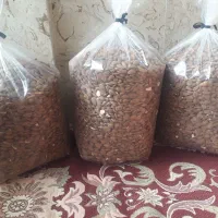 مغز بادام|خوردنی و آشامیدنی|یامچی, |دیوار