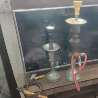 دو عدد قلیان دو سیب تنه گردو