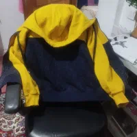 دوعدد پلارنو