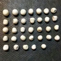 سنگ‌الماس‌آسیابی