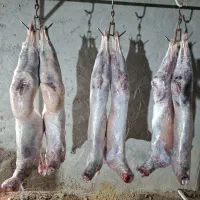 قصابی بره کهره