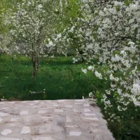 باغ|فروش زمین و ملک کلنگی|فیرورق, |دیوار