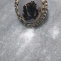 شجرقائنات‌زیبا|کلکسیون اشیاء عتیقه|قرچک, مهدیه|دیوار