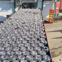 ایزوگام دلیجان اقساط ۴ماهه اشکان شاه منصوری