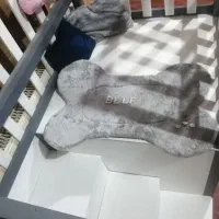 خانه مجهز وشیک برای سگ وگربه|لوازم جانبی حیوانات|اصفهان, جاوان|دیوار