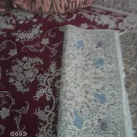 قالی محلی|فرش|شیراز, لاله|دیوار