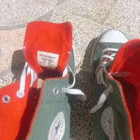 ال استار اصلی|کیف، کفش، کمربند|نهاوند, |دیوار