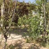 فروش باغچه ۸۰۰ متری در فاروق|فروش زمین و ملک کلنگی|سیدان, |دیوار