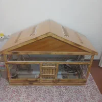 قفس عروس هلندی