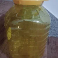 ظرف