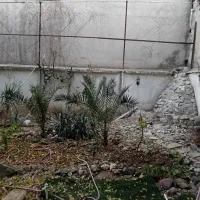 محدوده دولت پل صدر ۸۰ متر سالن با حیاط اختصاصی|اجارهٔ کوتاه‌مدت دفتر کار و فضای آموزشی|تهران, اختیاریه|دیوار