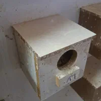 ۲۷۰ عدد لونه فنج