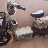 عالی|دوچرخه، اسکیت، اسکوتر|بندر دیر, |دیوار