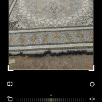 فرش|فرش|سوسنگرد, |دیوار