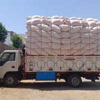 کاه گندم دیم درجه یک