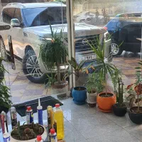 کارواش کار ماهر