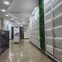 پخش کاغذ دیواری اقتصادی.