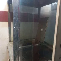 فر ساندویچی|کافی‌شاپ و رستوران|شاهین‌شهر, حافظ جنوبی|دیوار