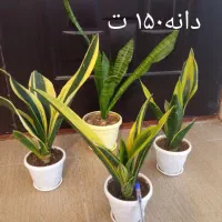 قطعات و لوازم جانبی|قطعات و لوازم جانبی رایانه|اسلامآباد غرب, |دیوار