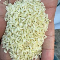 برنج عنبر بور سبز به شرط پخت|خوردنی و آشامیدنی|شادگان, |دیوار