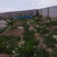 باغ-ویلایی