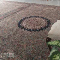 یک جفت فرش ۱۲متری درحد نو