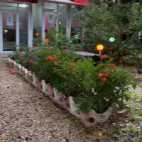 فروش باغ رستوران|فروش مغازه و غرفه|نمین, |دیوار