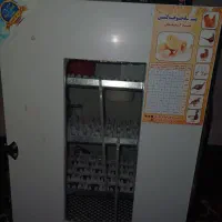 دستگاه جوجه کشی ۹۰ تایی|لوازم جانبی حیوانات|صحنه, |دیوار